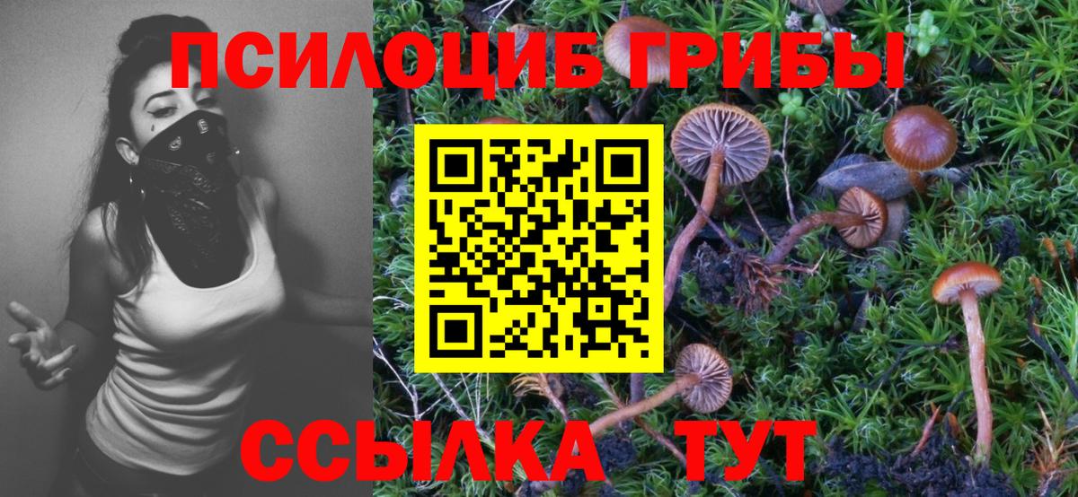 Галлюциногенные грибы MAGIC MUSHROOMS  Вход с VPN  Нальчик  Псилоцибиновые грибы Psilocybine cubensis 