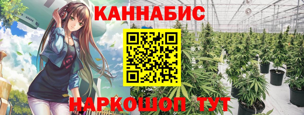 Каннабис OG Kush Нальчик